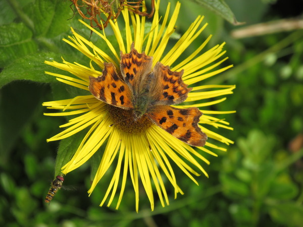 Photography chat thread - for all who are into Photography in whatever form