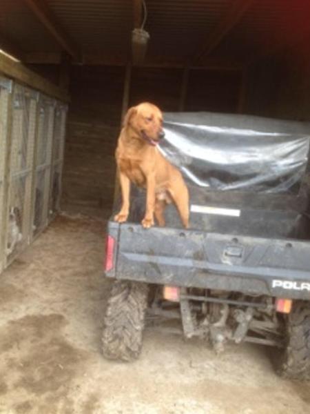 Week 10 - Low Carb Bootcamp - the last week!