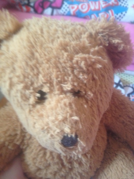 Teddy