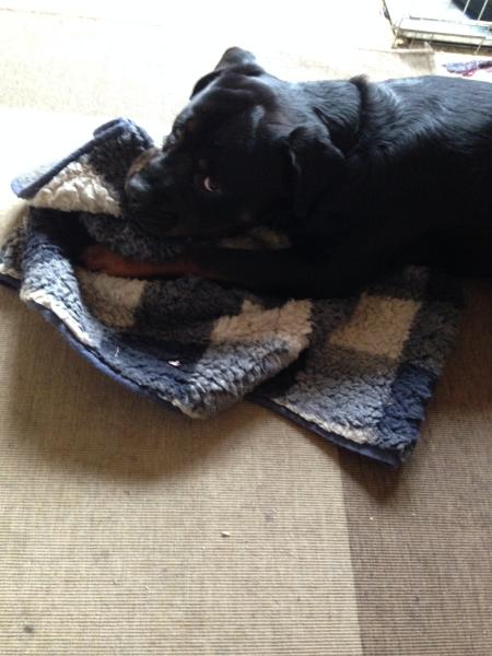 May 30 Day Shred - come one, come all