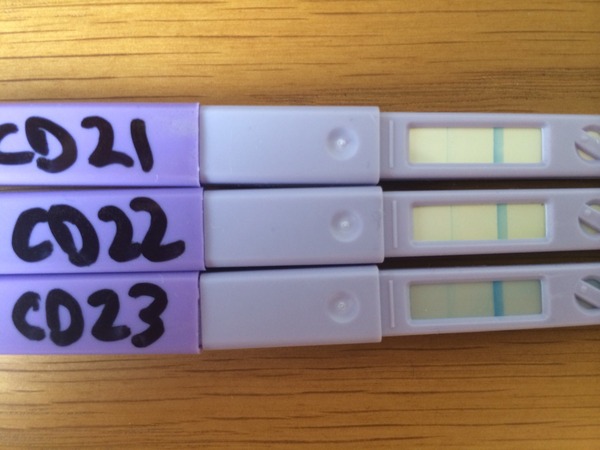 A thread for anyone TTC with a ClearBlue Fertility Monitor!