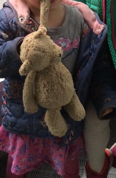 Lost Teddy Bear