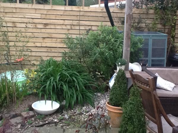 Fence colour for cottage style garden