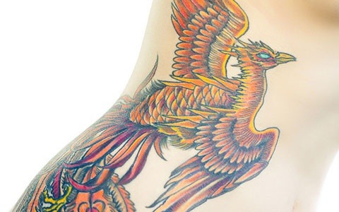DH said no more tattoos