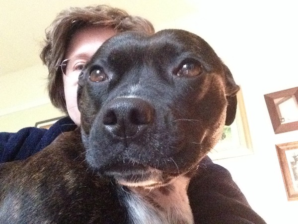 How do I get dog to do what I want without him growling?