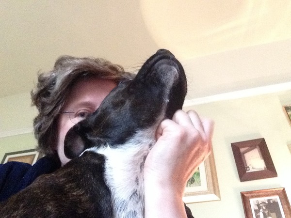 How do I get dog to do what I want without him growling?