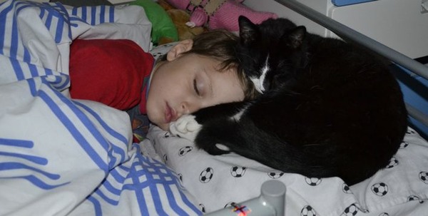 Shall we show off our cats? &#55357&#56832&#55357&#56832&#55357&#56832&#55357&#56832
