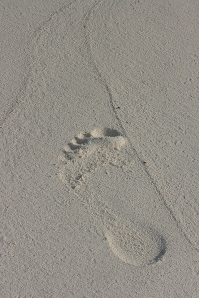 Photography chat thread - for all who are into Photography in whatever form