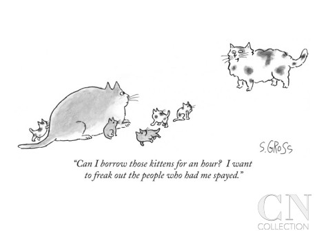Neutered cat. 4 kittens