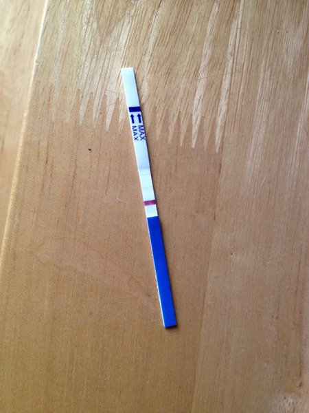 The May bus continues for those who regularly check for their Cervical Lucas, take frolic acid, shout SYMPTOMS, stock up on more BastardSticks and just want to be upduffed by the green penis dragon!!