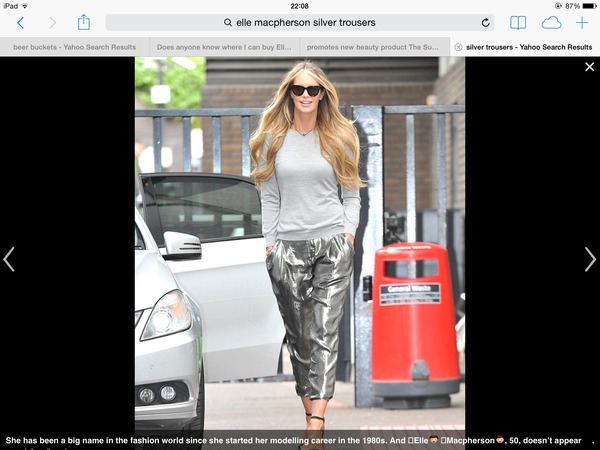 Does anyone know where I can buy Elle McPhersons silver cropped trousers