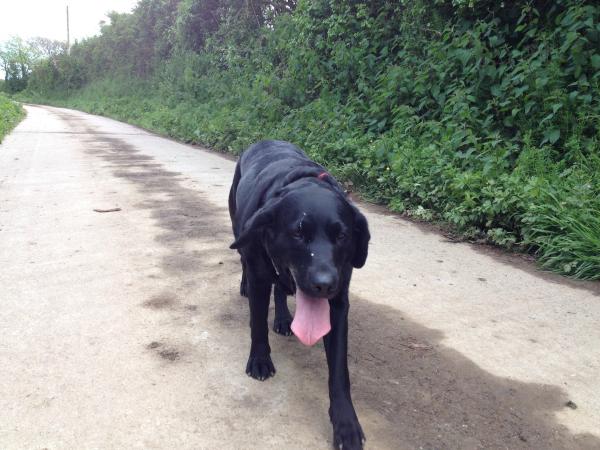 Keep on running - runners thread number 4