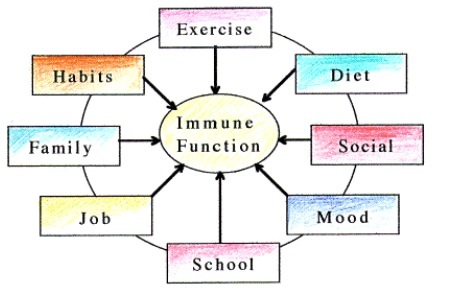 5:2 Exercise & Fitness Thread Number 2: Advice and information for those following 5:2 / IF (Intermittent Fasting)