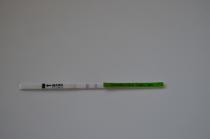 The May bus continues for those who regularly check for their Cervical Lucas, take frolic acid, shout SYMPTOMS, stock up on more BastardSticks and just want to be upduffed by the green penis dragon!!