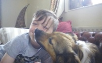 my dog keeps zig zagging behind me. what does it mean?