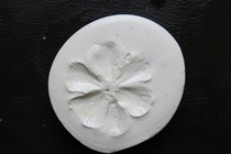 Homemade Fossils