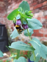 Photography chat thread - for all who are into Photography in whatever form