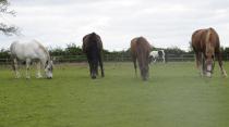 hapless hacking and Actual Riding log