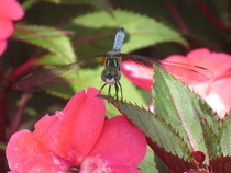 Photography chat thread - for all who are into Photography in whatever form