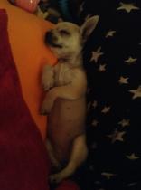 Week 1 - May Low Carb Bootcamp - It all starts here!