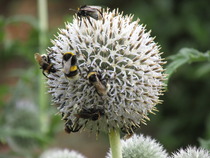 Photography chat thread - for all who are into Photography in whatever form