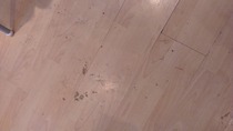 Cif Express Direct to Floor Cleaner review thread NOW CLOSED