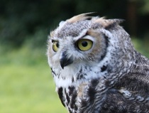 Photography chat thread - for all who are into Photography in whatever form