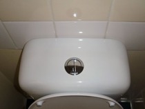 Aibu to tell her I am not paying for a new toilet