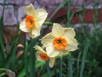 Photography chat thread - for all who are into Photography in whatever form