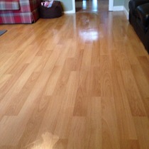 Cif Express Direct to Floor Cleaner review thread NOW CLOSED