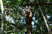 Photography chat thread - for all who are into Photography in whatever form