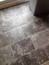 Cif Express Direct to Floor Cleaner review thread NOW CLOSED