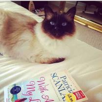 Why do cats follow me?!