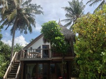 IF / ADF / 4:3 / 5:2 / 6:1 / 16:8 ~ Maintaining at a healthy weight ~ Chapter 4