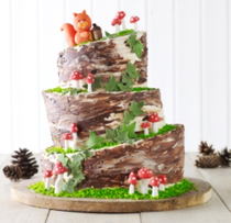 COMPETITION! Win a set of Topsy Turvy Pans to celebrate Lakeland’s BakeFest Event!