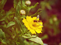 Photography chat thread - for all who are into Photography in whatever form