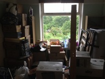 We have fire in our bellies, we're incubating our little Penis Dragons. Thread 2