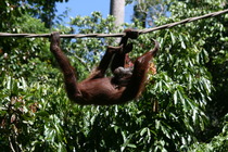 Photography chat thread - for all who are into Photography in whatever form