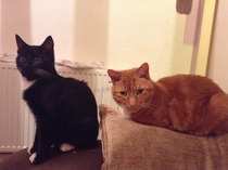 December 2011 - the one where we do the Twist and Shout