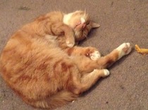 December 2011 - the one where we do the Twist and Shout