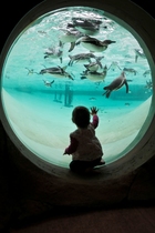 Fund raising event at ZSL London Zoo - Penguin walk