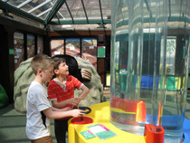 Win a Family Pass to the Lookout Discovery Centre Bracknell