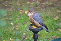 Photography chat thread - for all who are into Photography in whatever form