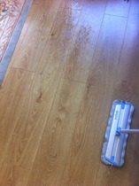 Cif Express Direct to Floor Cleaner review thread NOW CLOSED