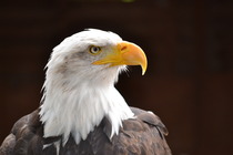 Photography chat thread - for all who are into Photography in whatever form