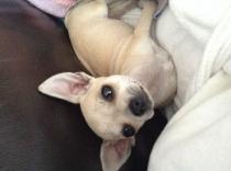 Week 1 - May Low Carb Bootcamp - It all starts here!