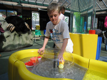 Win a Family Pass to the Lookout Discovery Centre Bracknell