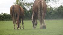 hapless hacking and Actual Riding log