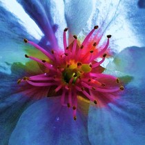 Photography chat thread - for all who are into Photography in whatever form