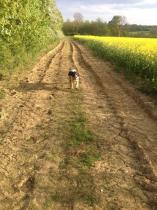 Keep on running - runners thread number 4